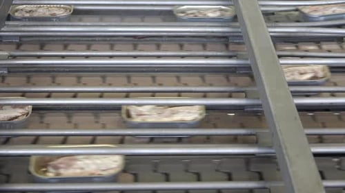 Cans of fish moving on conveyor belt