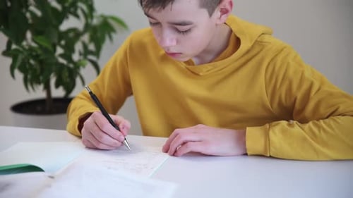 Boy Writing Homework