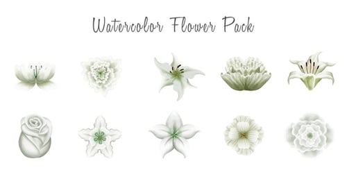 Watercolor Flowers