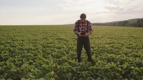 Arbeiter auf einer grünen Plantage mit schwarzer Tablette