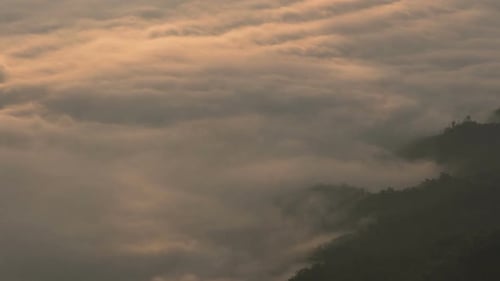 Matin de brouillard