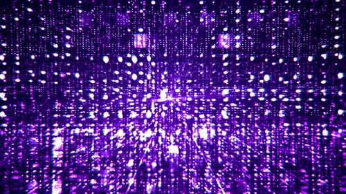 Digital Networks 08 4K