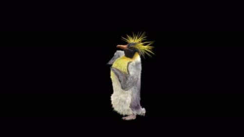 Pinguin tanzen 4K