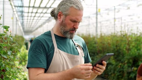 Man Uses Tablet in Flower Greenhouse