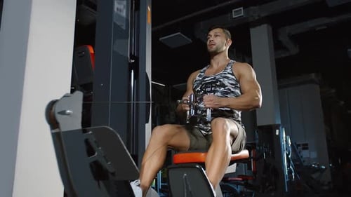 Muscular Man Bodybuilder Training his Strong Hands and Back on Rowing Machine Press Workout