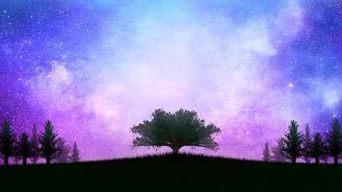 Landscape With Beautiful Sky