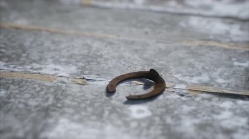 Rusty Horseshoe Camera Spin on Rustic Surface