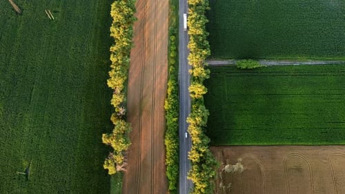 Drone Flying Over Road Between Green Agricultural Fields During Dawn Sunset