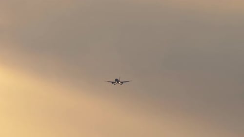 Airplane Silhouette in Sunset Evening Sky