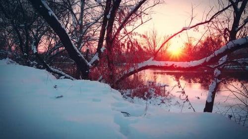 Winter Sunrise Over Snowy River Banks
