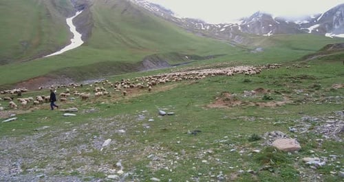 Shepherd posiert eine Schafherde in den Bergen