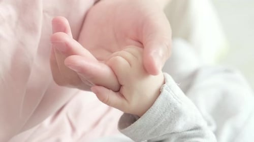 Loving Adult Hand Holds Baby's Tiny Hand Close-Up