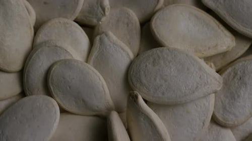 Close Up of Pile of Pumpkin Seeds