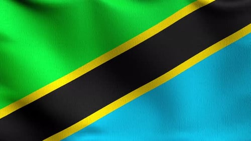 Waving Flag of Tanzania Animation