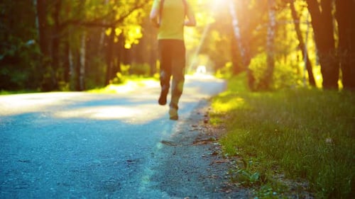 Sport Man Running at Asphalt Road. Rural City Park. Green Tree Forest and Sun Rays on Horizon.