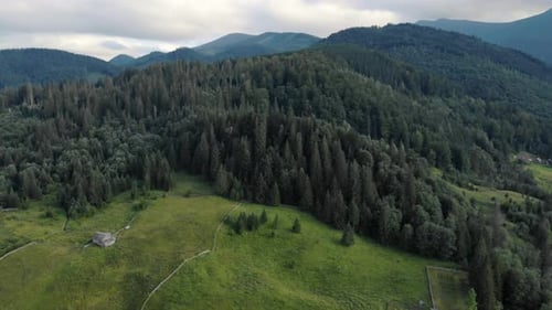 Landscape with Forests and Green Meadows in Mountains