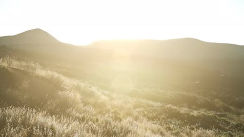 Sonnenuntergang über den Talfeldern