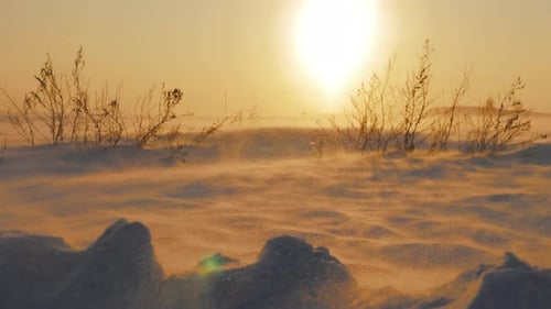 Arktischer Schneesturm bei Sonnenuntergang