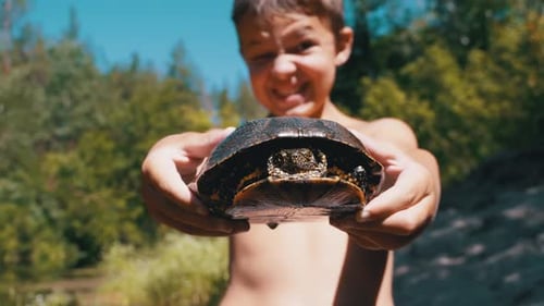 Boy Holds Turtle in Arms and Smiles Viciously on River with Green Vegetation