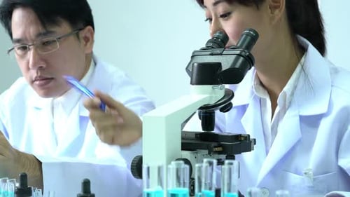 Wissenschaftler arbeiten
