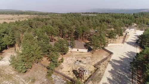 Scenic Aerial View of Rural Pine Forest Landscape