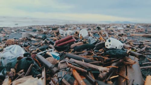 Coast of World's Oceans is Polluted By Large Plastic and Polyethylene Garbage