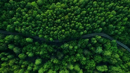 Above The Road In National Park