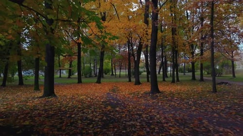 The Beauty of an Autumn Park in St