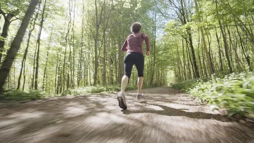 Woman Jogging By the Forest Trail and Trees Surrounding It
