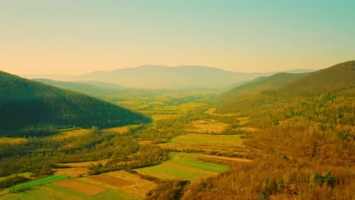 Aerial View on Forest and Village