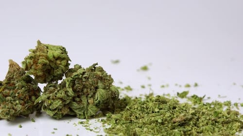 Close-up of medical marijuana buds on white background