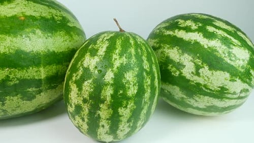 Watermelon