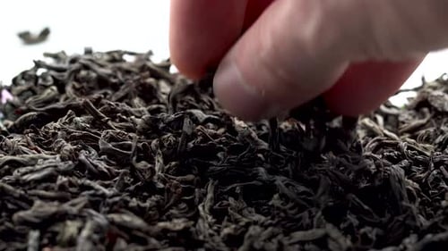 Lots Of Dry Black Tea Leaves Get In The Way