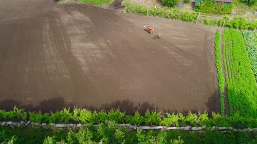 Konzept des ökologischen Gartenbaus