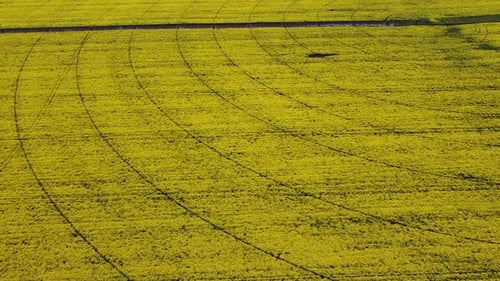 Aerial view drone. Beautiful idyllic nature aerial forward motion view over agricultural countryside