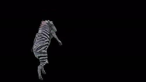 Funny Animated Zebra Doing Human Dance Moves