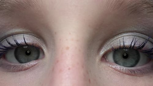 Dramatic Eye Makeup Close Up of Gray Eyes