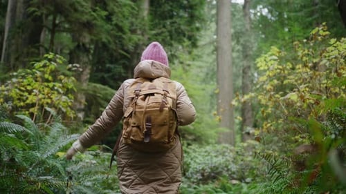 Slow Motion Young Woman Hiking in Forest in Autumn Active Woman with a Backpack