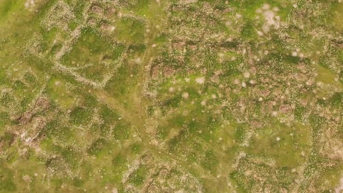 Green Field Aerial View of Patterns