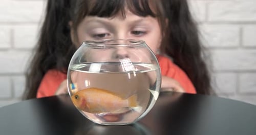 Girl by home aquarium.