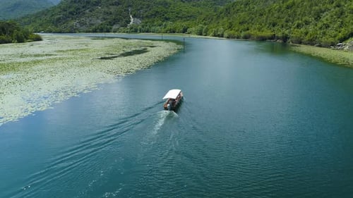 Motor Boat Floats on a Crnojevica River Framed By Water Lilies