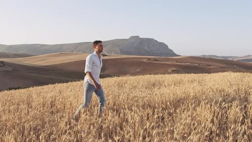 Foto panorâmica do modelo masculino andando nos campos abertos e no céu ensolarado