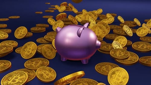 Saving Bitcoins in the Pig Piggy Bank