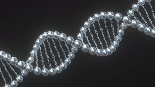Rotating 3D DNA Double Helix for Science and Medical Projects