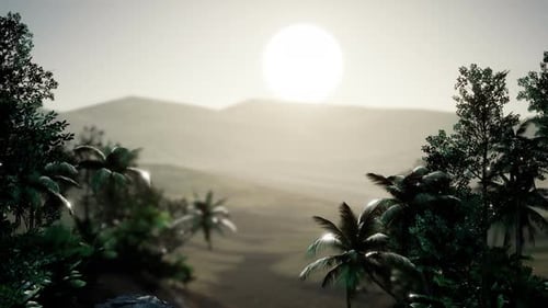 Coco Palm Trees Tropical Landscape