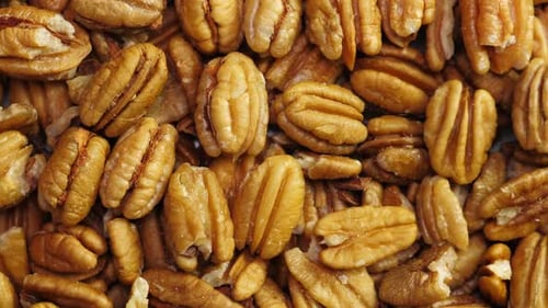 Pecan Nuts Background. Closeup Pekan Seeds