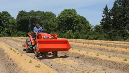Man driving tractor on farm
