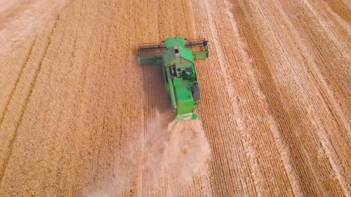 Impresionante vuelo sobre una cosechadora en funcionamiento cosechando toneladas de cebada