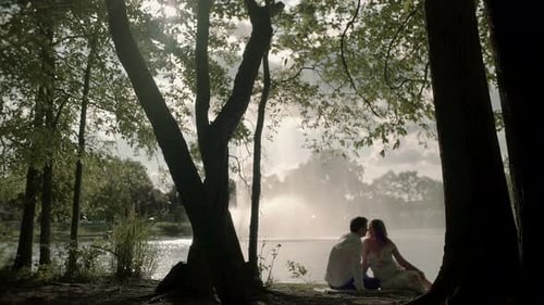 Couples Silhouettes Seated in a Park in a Beautiful Day