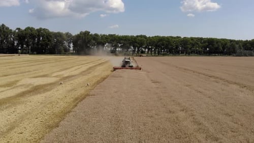 Top View of the Harvester Collects Wheat